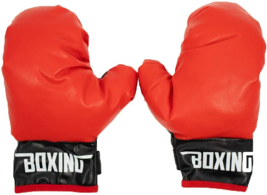 Set de antrenament EB Fit Manusi de box si scut foto