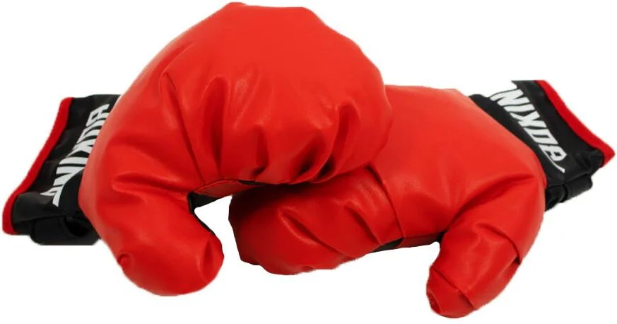 Set de antrenament EB Fit Manusi de box si scut foto