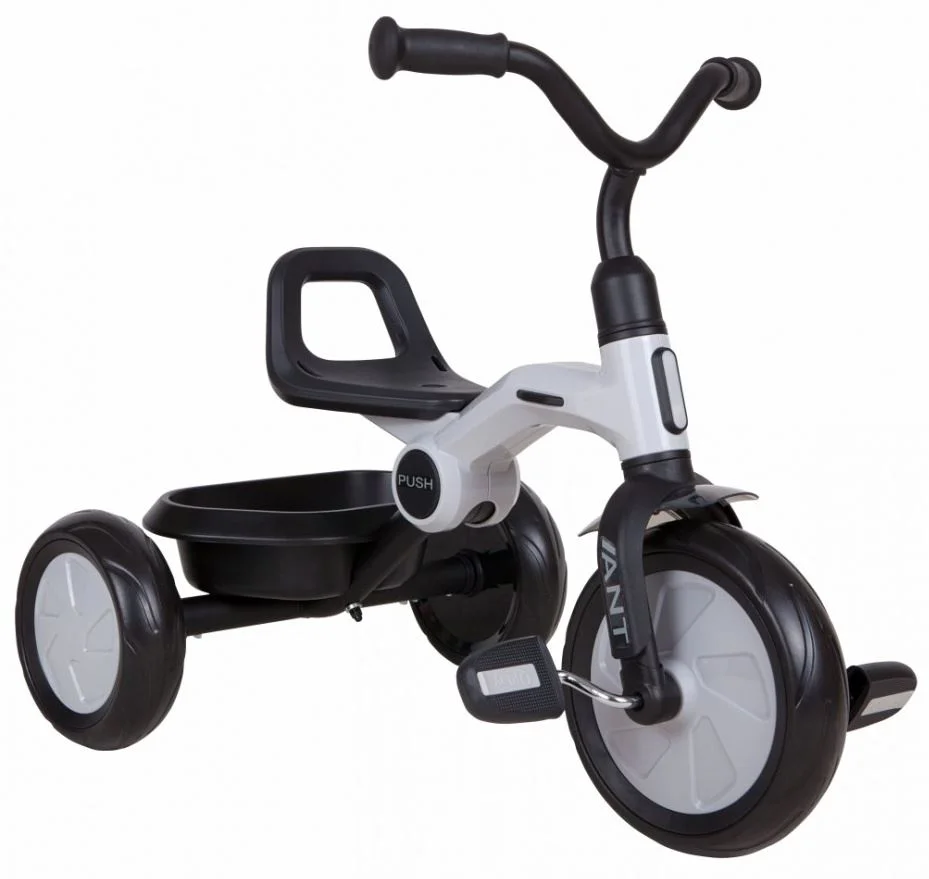 Bicicleta pentru copii Qplay Ant, Gri