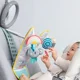 Развивающая игрушка Taf Toys Коала с зеркалом