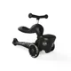 Самокат трансформер 2 в 1 Scoot & Ride HighwayKick 1 Lifestyle Zebra foto