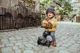 Самокат трансформер 2 в 1 Scoot & Ride HighwayKick 1 Lifestyle Zebra foto