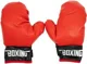 Set de antrenament EB Fit Manusi de box si scut foto