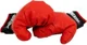 Set de antrenament EB Fit Manusi de box si scut foto