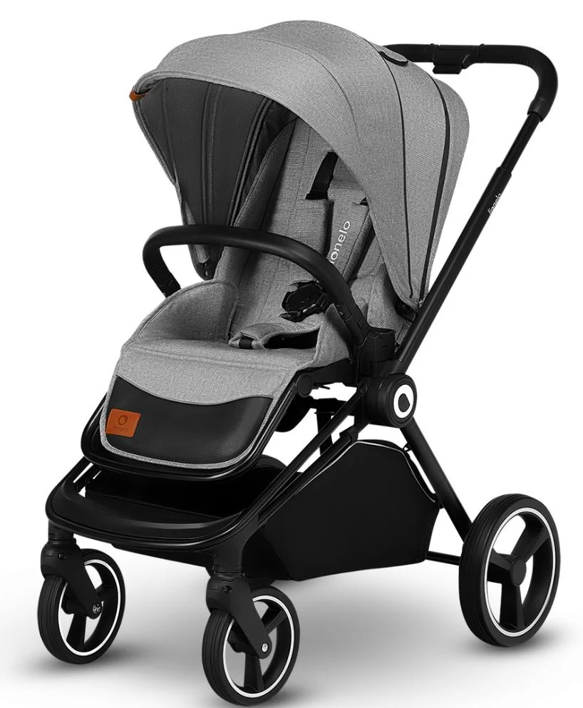 Carucior 2 in 1 Lionelo Mika foto