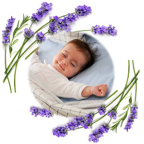 Подушечка с косточками черешни BabyOno Серый foto