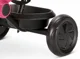 Bicicleta pentru copii Qplay Ant Plus, Roz