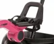 Bicicleta pentru copii Qplay Ant Plus, Roz