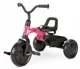 Bicicleta pentru copii Qplay Ant Plus, Roz