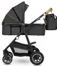 Carucior 2 in 1 Lionelo Amber Gri foto