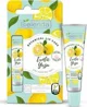 Бальзам для губ Bielenda Botanical Exotic Yuzu, 10 гр