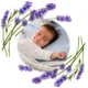 Подушечка с косточками черешни BabyOno Серый foto