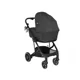 Коляска 2 в 1 Skiddou Moss onyx