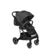 Коляска 2 в 1 Skiddou Moss onyx