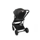 Коляска 2 в 1 Skiddou Moss onyx