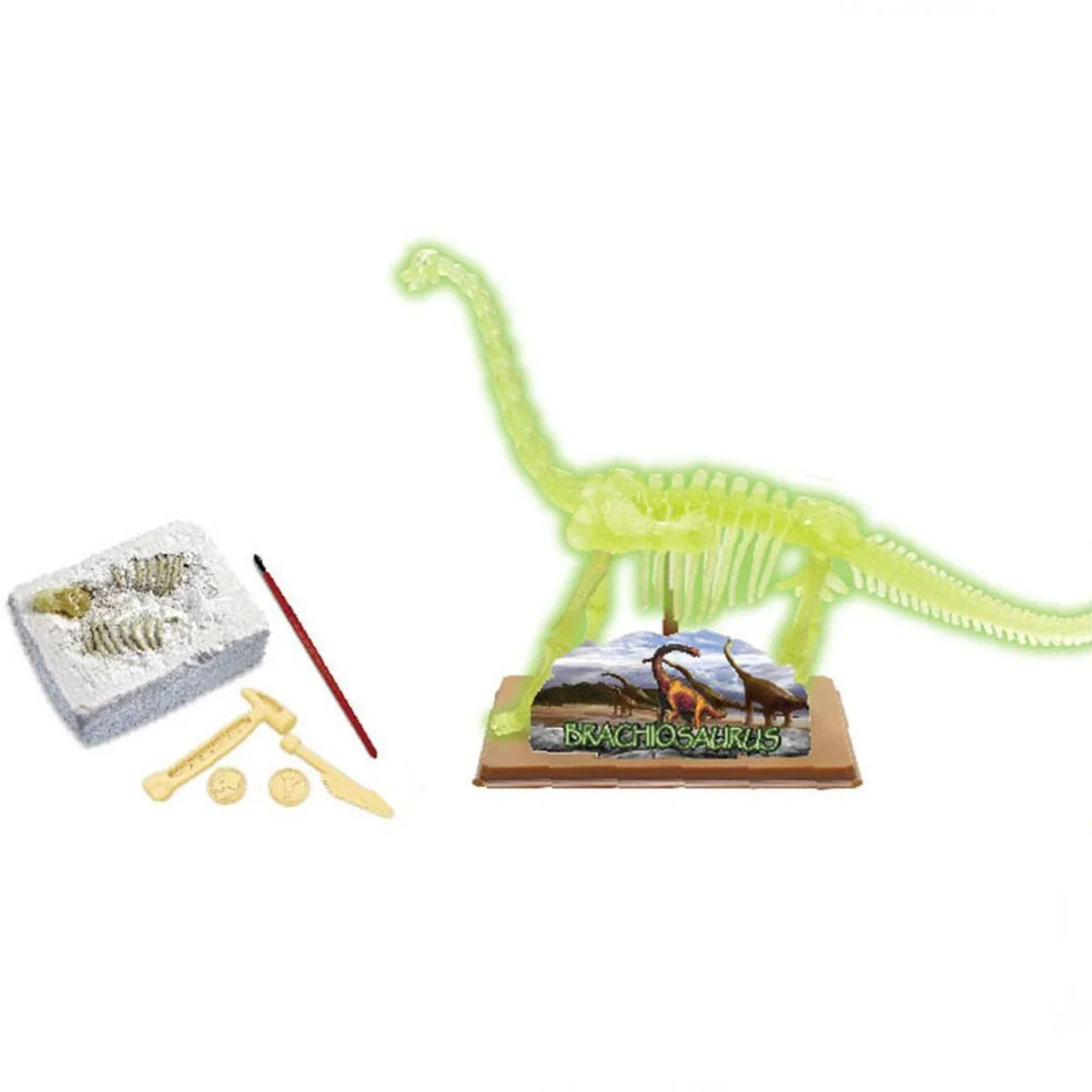 Set educativ Sunman Descopera scheletul de Brahiozaur