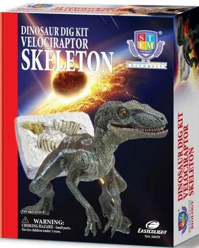 Set educativ Sunman Descopera scheletul de Velociraptor