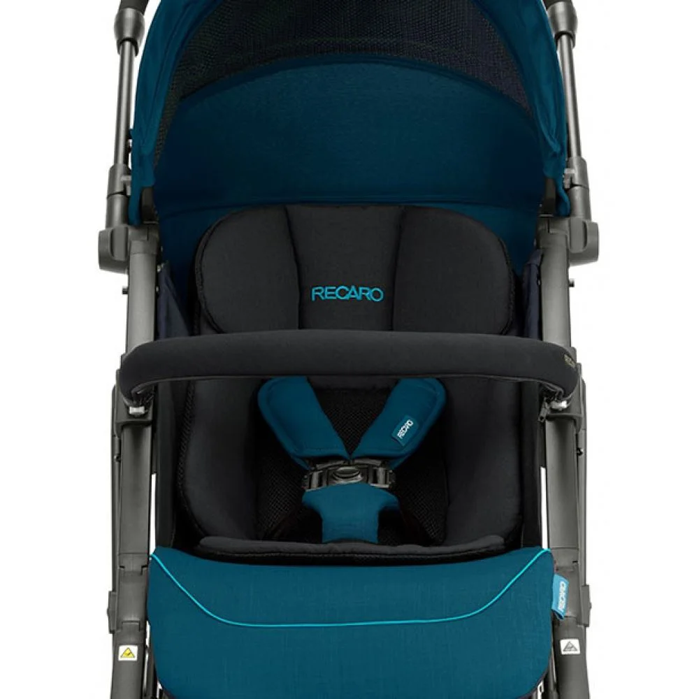 Carucior Recaro Easylife Elite 2 Prime Gri