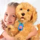 Интерактивная игрушка My Fuzzy Friends Лабрадор Моджи foto