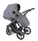 Коляска 2 в 1 Coletto Dante D-01 Silver foto