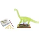 Set educativ Sunman Descopera scheletul de Brahiozaur