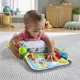 Jucarie senzoriala Fisher Price Pernuta cu activitati