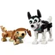 LEGO Creator - Adorable Dogs foto