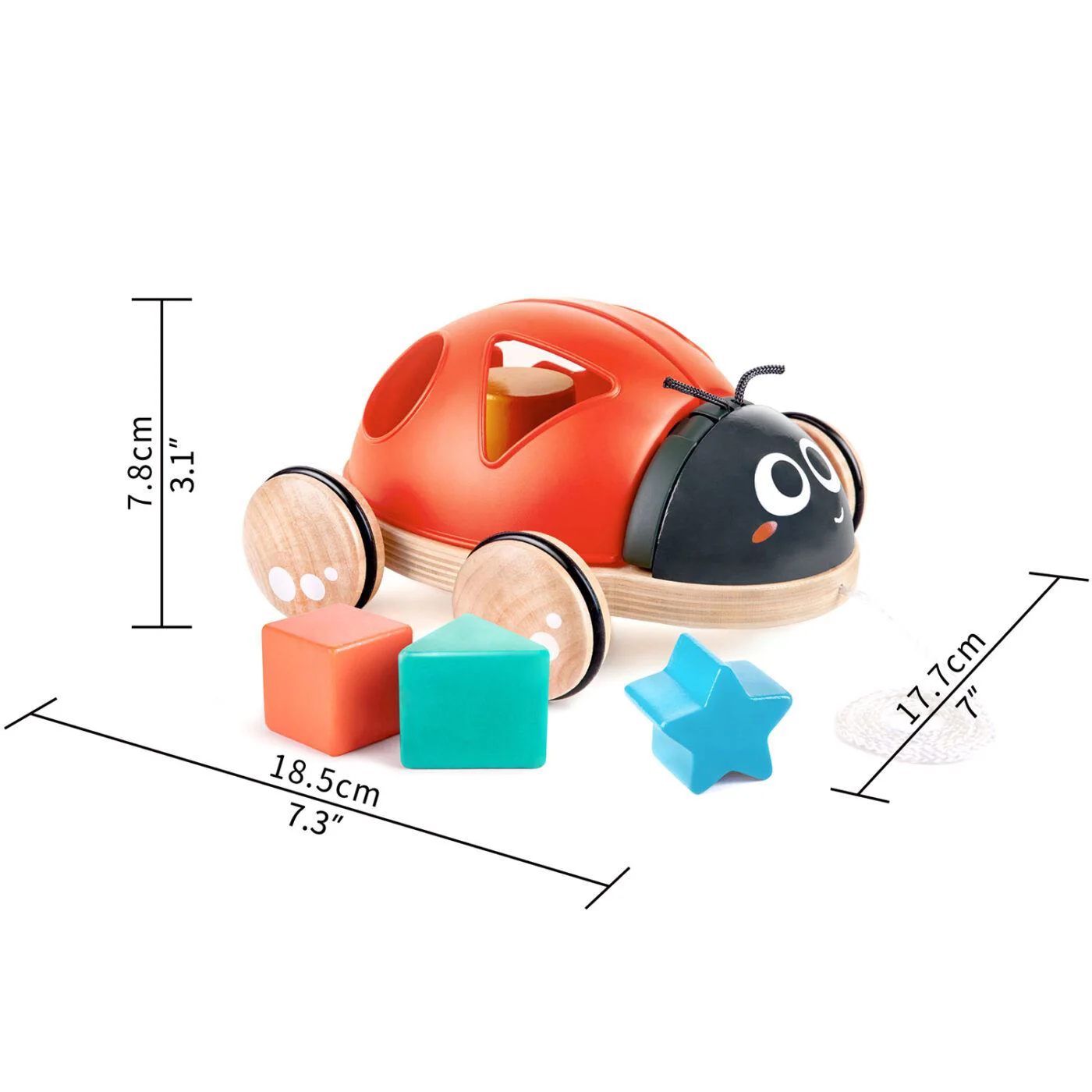 Каталка-сортер Hape "Божья коровка" foto