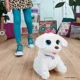 Интерактивная игрушка FurReal Танцующий щенок Го-Гоу