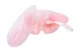 Bol cu 2 compartimente si lingura KikkaBoo Tasty Pink foto