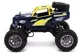 Masina cu telecomanda Funky Toys Buggy, 1:18 Galben foto
