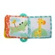 Игрушка Bright Starts Teethe&Read