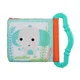 Игрушка Bright Starts Teethe&Read