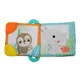 Игрушка Bright Starts Teethe&Read