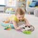 Perna interactiva din plus Fisher-Price Lenesul