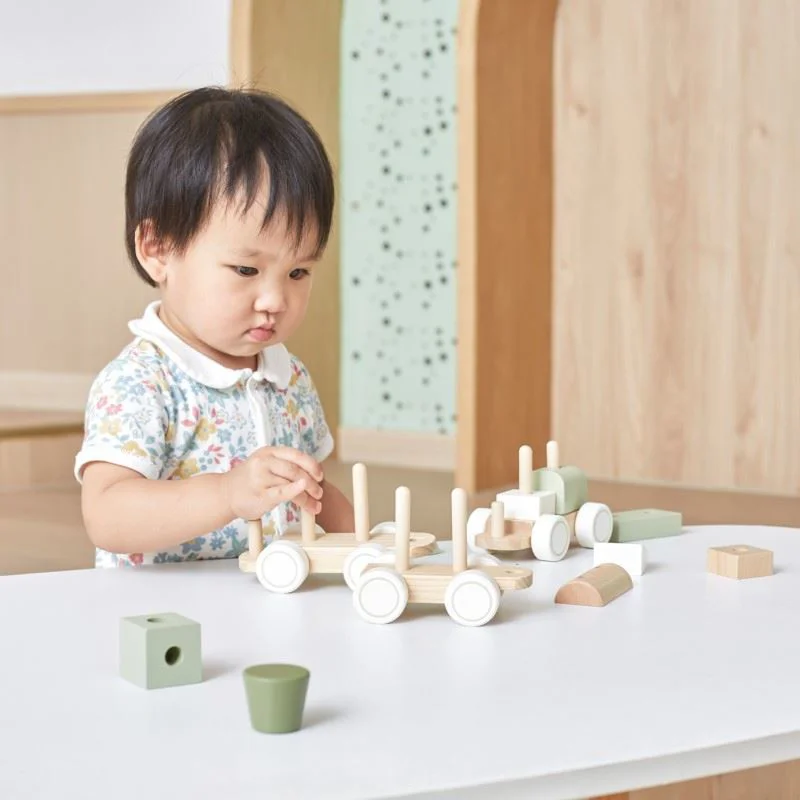 Sorter din lemn Viga Toys Trenuletul verde foto