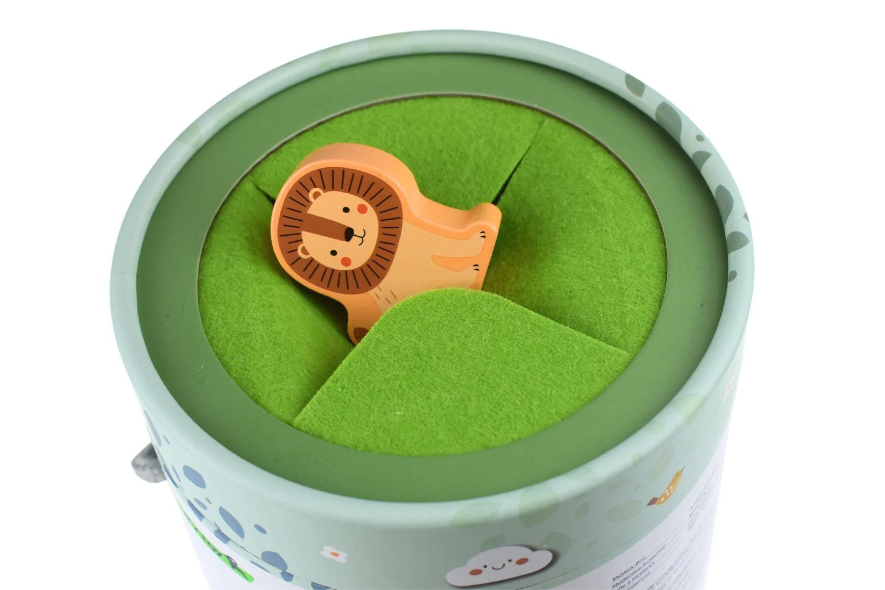 Деревянный игровой набор Tooky Toy Таинственная коробка