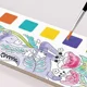 Carte de colorat cu acuarele inclusa Mideer Padure minunata