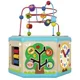 Cub educational din lemn 7 in 1 Tooky Toy