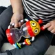 Игрушка-погремушка Baby Einstein Cals Sensory, не содержит BPA