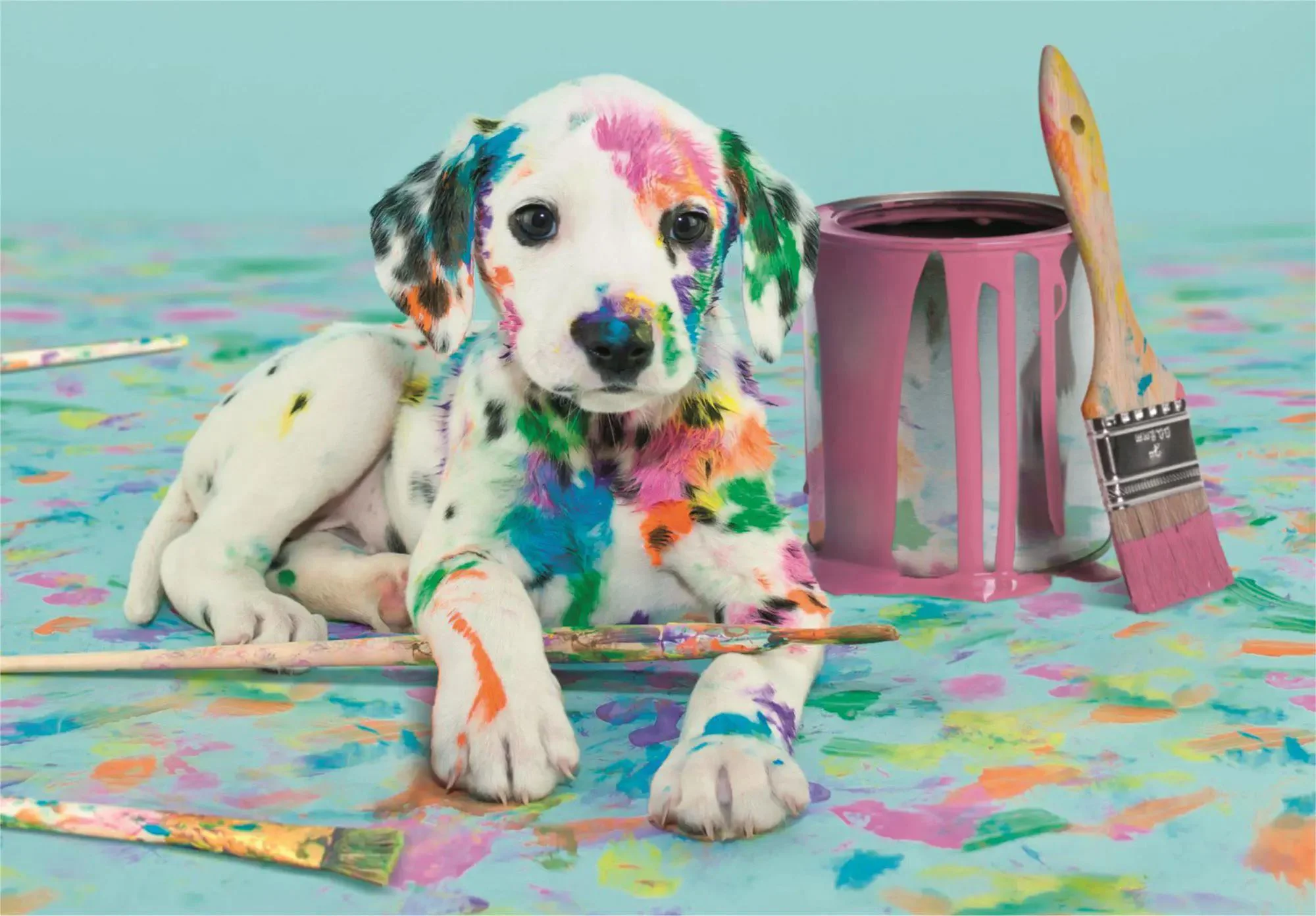 Puzzle Clementoni Dalmatian, 500 el. foto