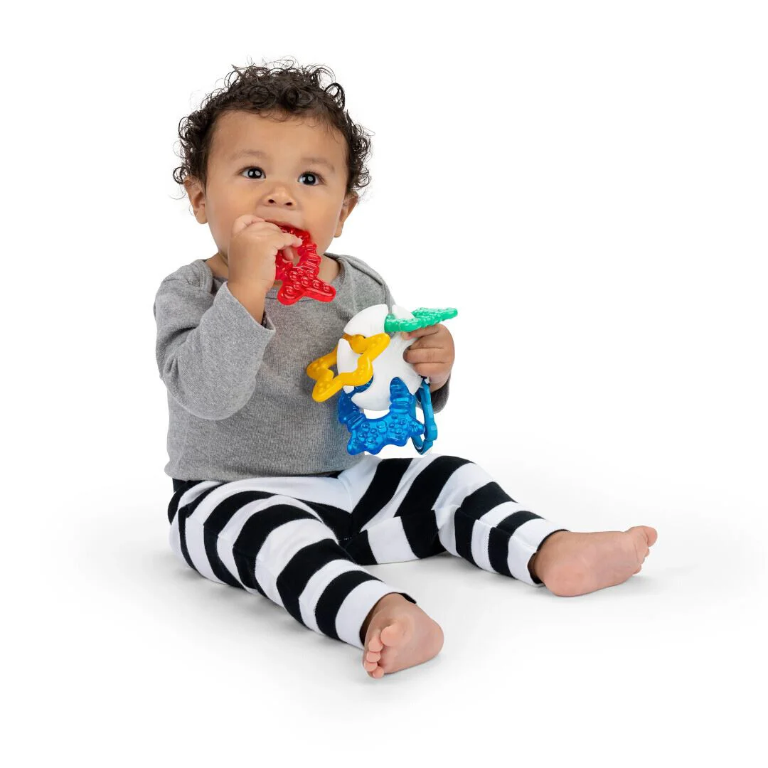 Jucarie de dentitie Baby Einstein Ocean Explorers Sea of Sensory