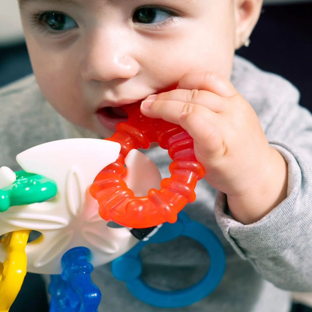 Прорезыватель для зубов Baby Einstein Ocean Explorers Sea of Sensory