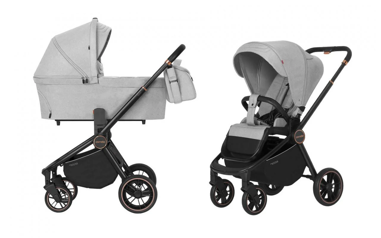 Carucior 2 in 1 Carrello Epica Gri foto