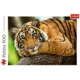 Puzzle Trefl Portretul tigrului, 500 el. foto