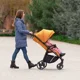 Carucior Carrello Bravo Portocaliu foto