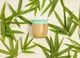 Кружка Munchkin Bamboo (6+ месяцев), 150 мл foto
