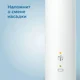 Электрическая звуковая зубная щетка Philips Sonicare Series 3100, Белый