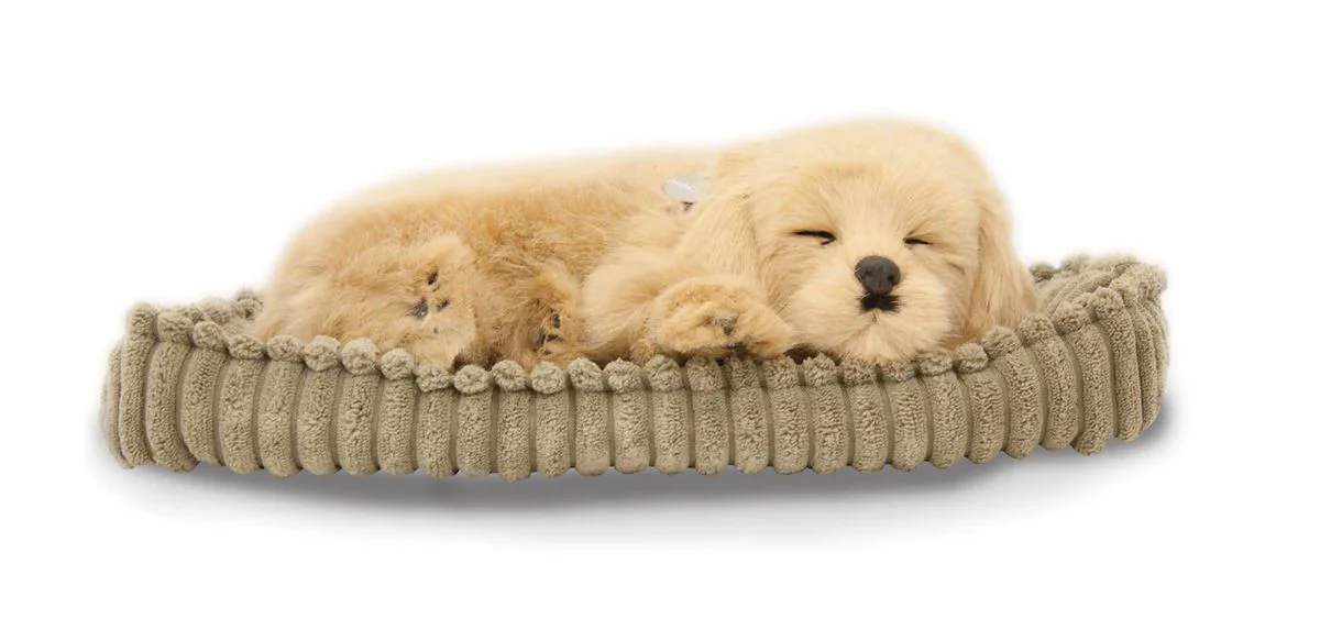 Jucarie interactiva Perfect Petzzz "Golden Retriever"