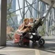 Carucior Petite&Mars Airwalk Ultimate Grey foto